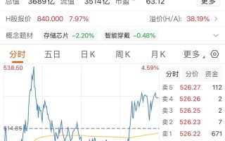 长鑫IPO明天上会，603986放量上涨