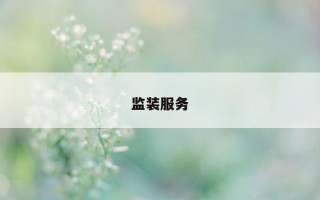 监装服务