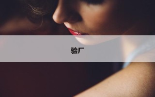 验厂