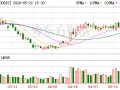 新雷能：公司通过与ADI的合作目前已成功实现一家数据中心大客户的批量供货