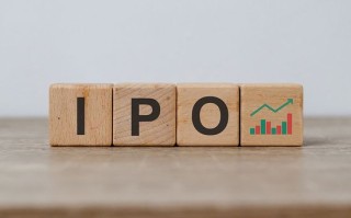 又投准了！宇树科技IPO“闪电”过会，背后浮现至少30家险资身影