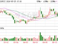 皮阿诺：公司将踏实推进经营工作