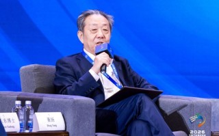 德载厚资本董扬呼吁：中国芯片企业不要搞全栈自研，要拉群合作