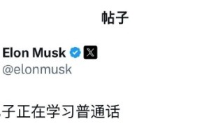 马斯克用中文发帖