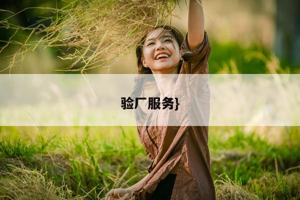 验厂服务}  第1张