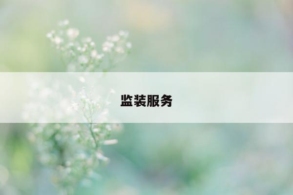 监装服务  第1张