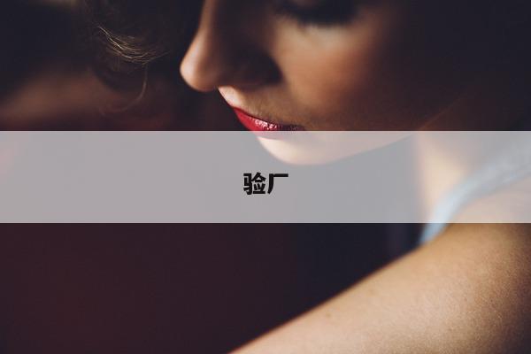 验厂  第1张