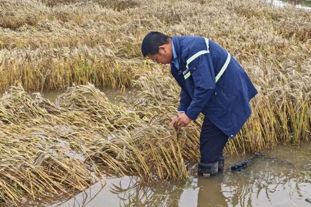 中国太平积极应对多地强降雨灾害  第5张